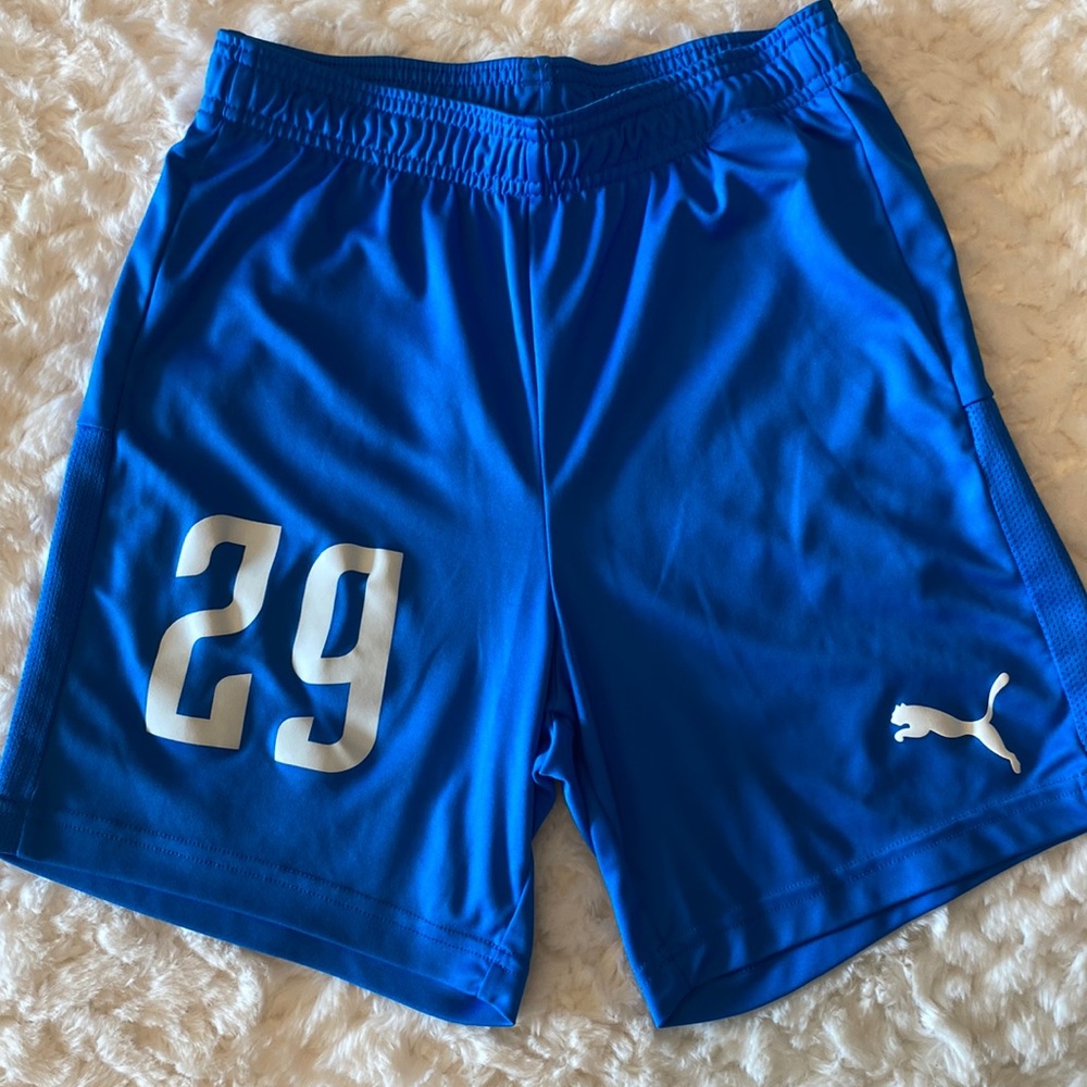 Puma drycell boys teamgoal knit shorts, no. 29 electric blue color , size XL